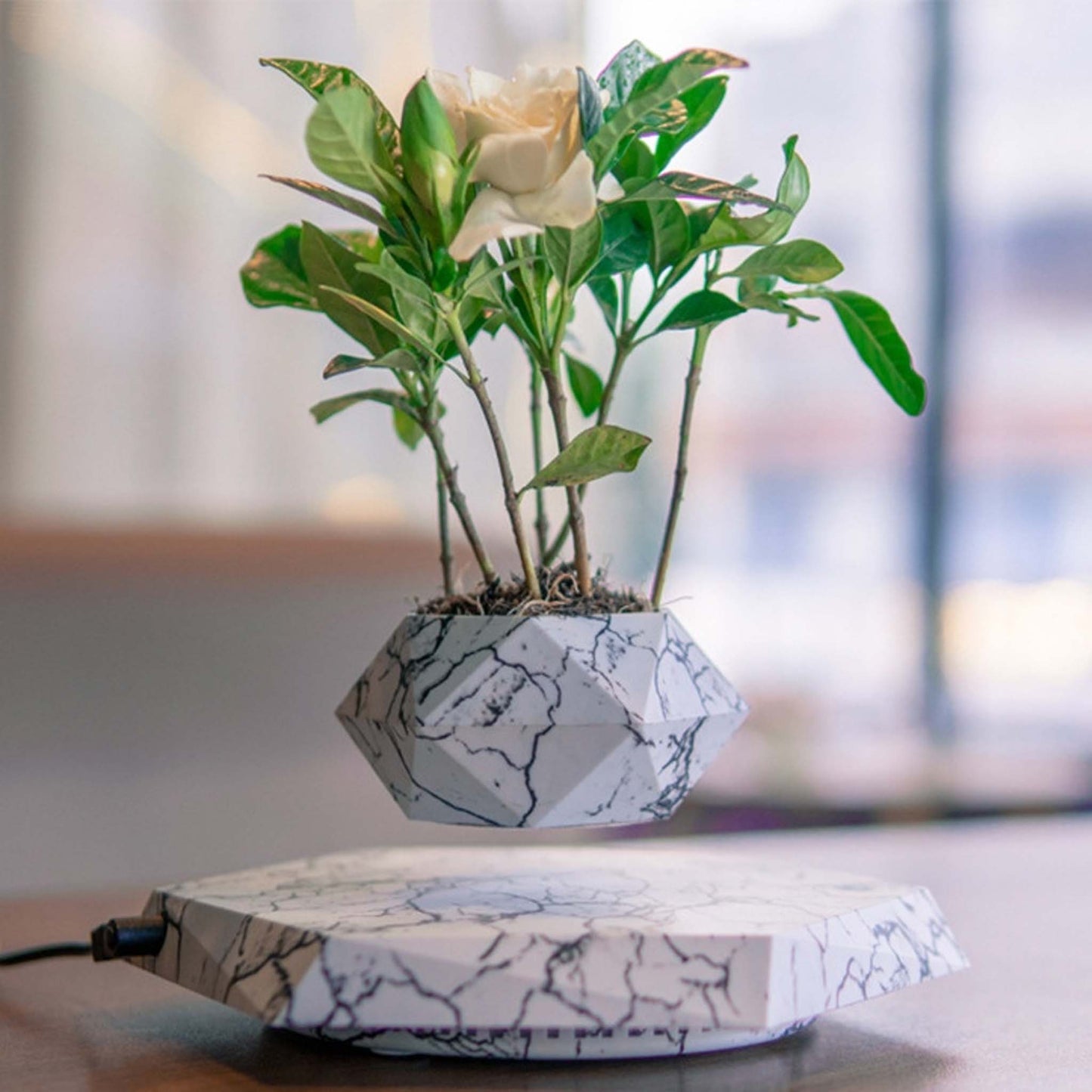 Magnetic levitating Flower Pot